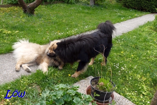 26.4.2019 - Dwix und Howard warten auf ihren  Besuch